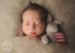 buffalo ny baby photographer netural tan bunny