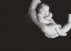 Buffalo NY Newborn Photographer black backdrop daddys arms