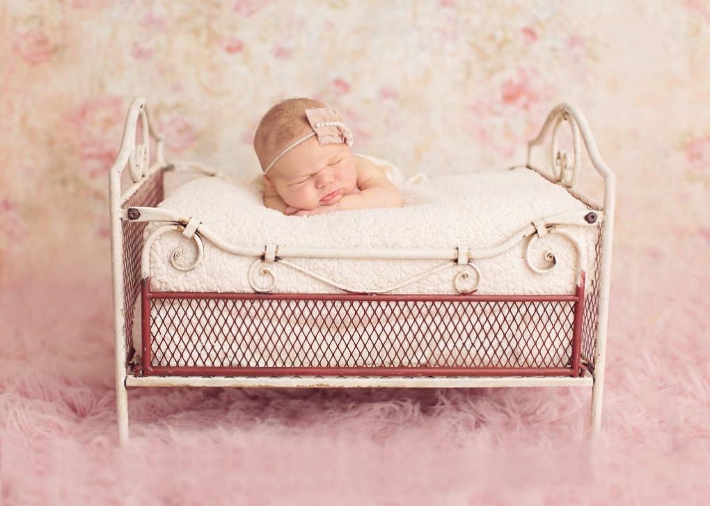 orchard park newborn photographer