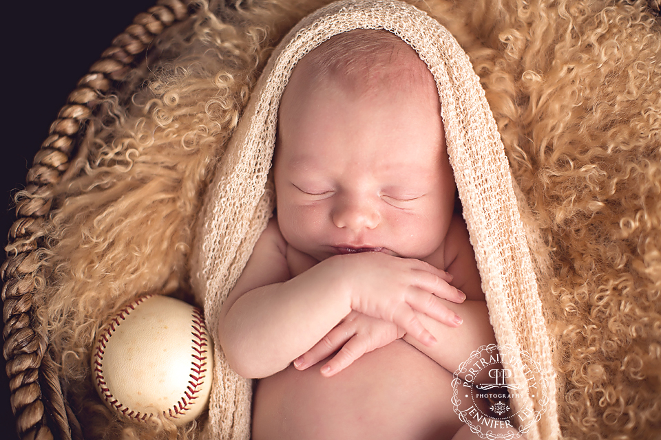 buffalo baby portrait boy