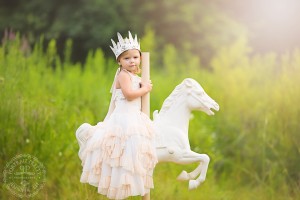 buffalo ny beach photography carousel horse